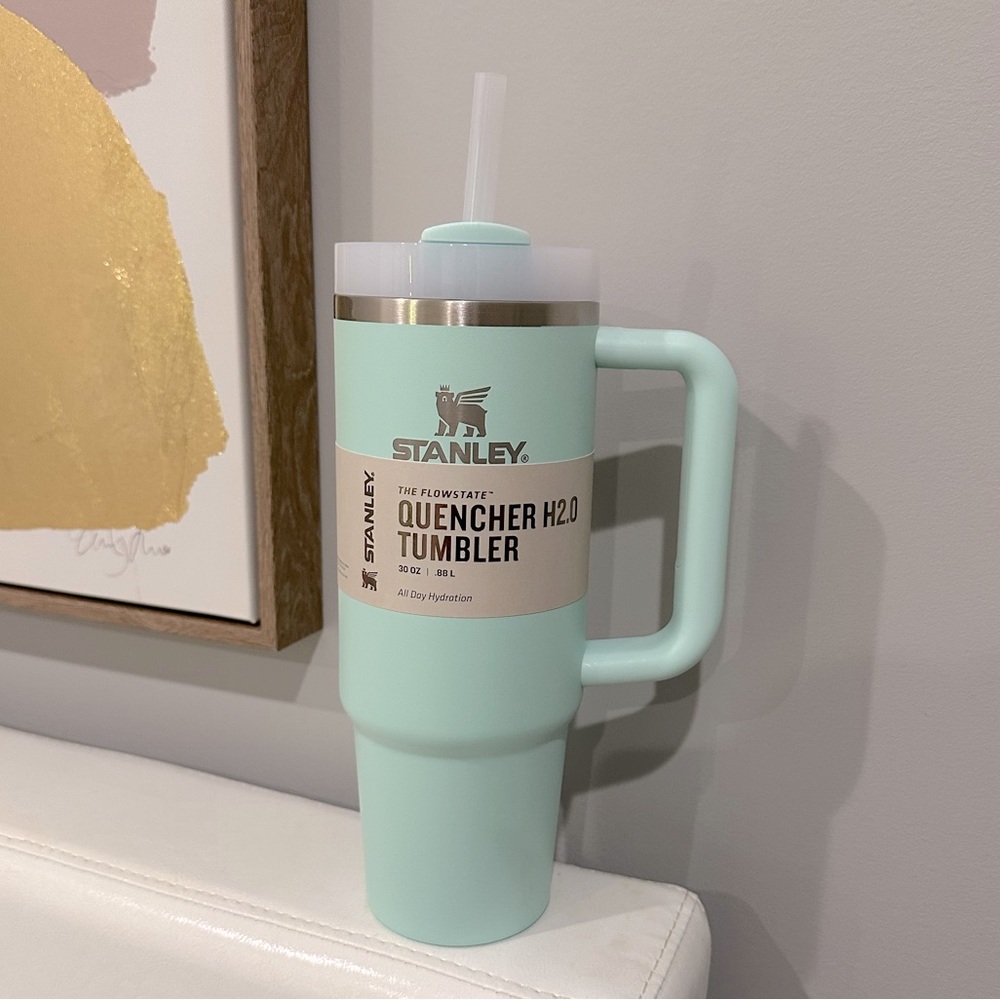 BRAND NEW Stanley 30oz “Mint”